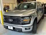 New 2025 Ford F150 XLT image 3