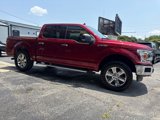 Used 2019 Ford F150 XLT w/ Equipment Group 302A Luxury image 3