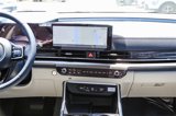 New 2025 Kia Carnival SX Prestige image 6