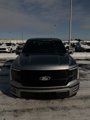 New 2025 Ford F150 Platinum w/ Equipment Group 702A High image 5