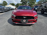 Used 2018 Ford Mustang GT w/ Equipment Group 301A image 2