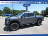 New 2025 Ford F150 Raptor image 4