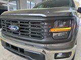 Used 2024 Ford F150 XL w/ Equipment Group 103A High image 2