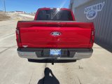 New 2025 Ford F150 XLT image 5