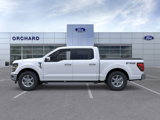 New 2025 Ford F150 XLT w/ Equipment Group 302A MID image 3
