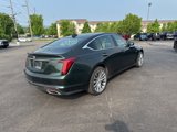 Used 2021 Cadillac CT5 Premium Luxury w/ Parking Package image 5