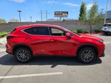 Used 2025 Lexus NX 250 FWD image 4