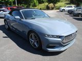 Used 2024 Ford Mustang Premium image 2