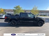 New 2025 Ford F150 STX image 4