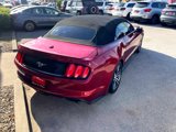 Used 2017 Ford Mustang Premium w/ Equipment Group 201A image 5