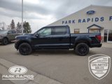 New 2025 Ford F150 XLT w/ Equipment Group 303A High image 2
