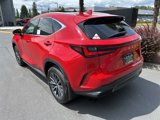 New 2025 Lexus NX 350 AWD w/ Premium Package image 3