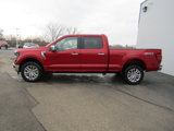New 2025 Ford F150 XLT w/ Equipment Group 302A MID image 2