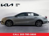 Certified 2022 Kia Forte GT-Line image 6