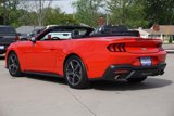 Used 2024 Ford Mustang Premium image 5