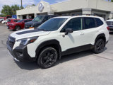 Used 2022 Subaru Forester Wilderness w/ Wilderness Package image 2