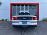 Used 2019 Ford Mustang GT Premium image 5