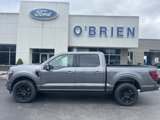 New 2025 Ford F150 Platinum w/ Equipment Group 702A High image 2
