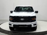 New 2025 Ford F150 XLT image 2