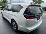 New 2025 Chrysler Pacifica Select image 5