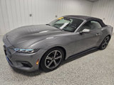 Used 2024 Ford Mustang Convertible image 5