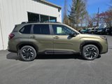 New 2025 Subaru Forester Limited image 3