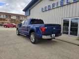 New 2025 Ford F150 XLT image 6