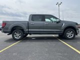 New 2025 Ford F150 XLT image 5