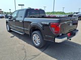 New 2025 Ford F150 XLT image 2