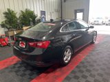 Used 2024 Chevrolet Malibu LT image 6