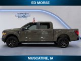 New 2025 Ford F150 STX w/ Equipment Group 201A FX4 image 2