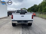 Used 2024 Ford F150 Lariat w/ Tow/Haul Package image 3