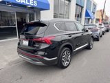 Used 2023 Hyundai Santa Fe Limited w/ Cargo Package image 5