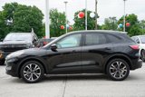 Certified 2022 Ford Escape SE w/ SE Sport Appearance Package image 4