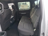 New 2025 Ford F150 XLT w/ Equipment Group 302A MID image 6
