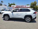 Certified 2024 Toyota RAV4 XLE Premium image 3