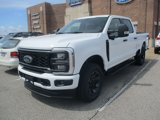 New 2025 Ford F250 XL image 3