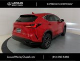 Used 2024 Lexus NX 350h AWD w/ Premium Package image 3