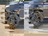 New 2025 Hyundai Palisade Calligraphy image 4