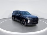New 2025 Hyundai Palisade Calligraphy image 2
