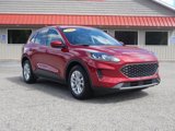 Used 2021 Ford Escape SE w/ Convenience Package image 3
