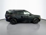 New 2026 Hyundai Santa Fe Calligraphy image 4