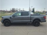 New 2025 Ford F150 XLT image 4
