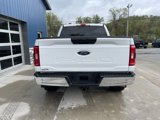 Used 2022 Ford F150 XLT image 6