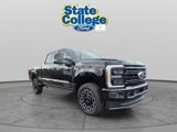 New 2025 Ford F250 Platinum image 2