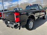 New 2025 Ford F250 XLT w/ 360-Degree Camera Package image 4