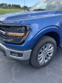 New 2024 Ford F150 XLT w/ Equipment Group 303A High image 3