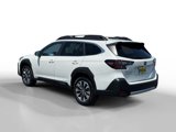 Used 2024 Subaru Outback Limited image 3