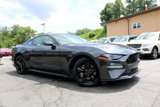 Used 2022 Ford Mustang GT Premium w/ Equipment Group 401A image 6