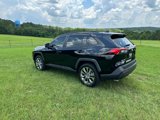 Used 2020 Toyota RAV4 XLE Premium image 3
